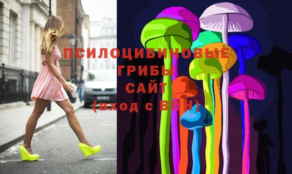 не бодяженный Алексин