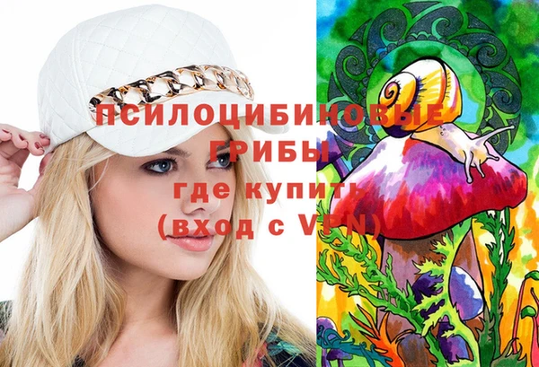 бутират Алзамай