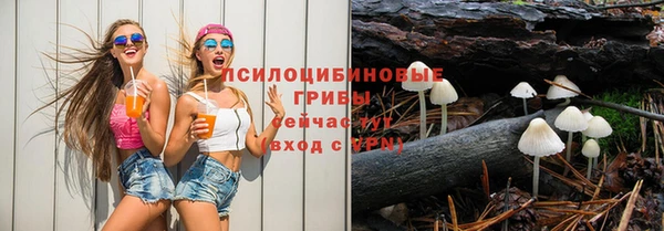 бутират Алзамай